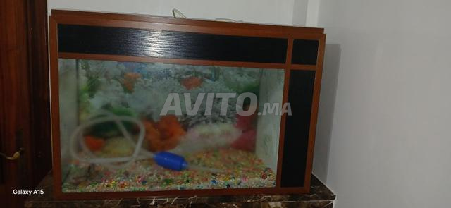 Aquarium à vendre