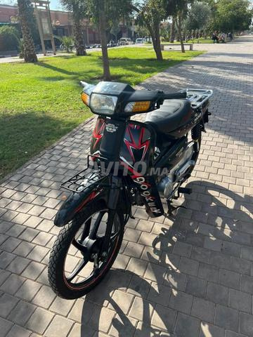 سي-50 نقية للبيع