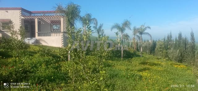 Ferme à louer à 7 km de Settat