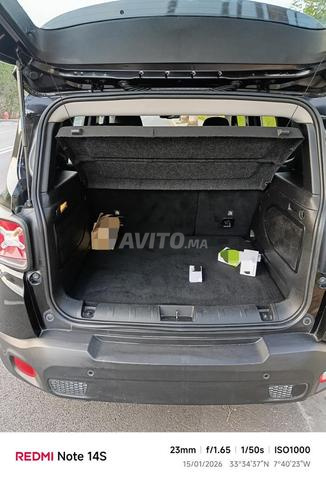 جيب رينيجيد