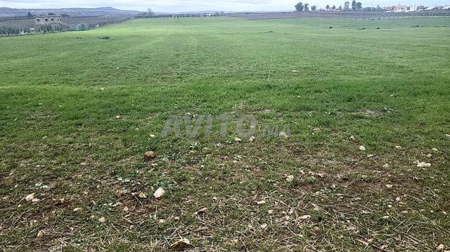 Terrain agricole à vendre