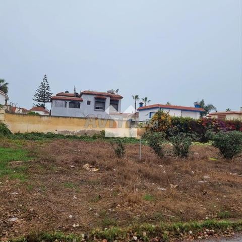 157804-Vente Terrain à Mohammédia Monica de 512 m²