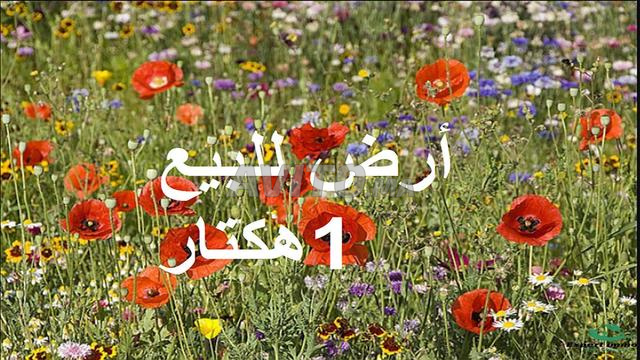 أراضٍ محفظة بمنطقة البئر الجديد للسكن أو الاستثمار