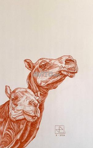 Avenue Abdelkrim El Khattabi Marrakech - 2