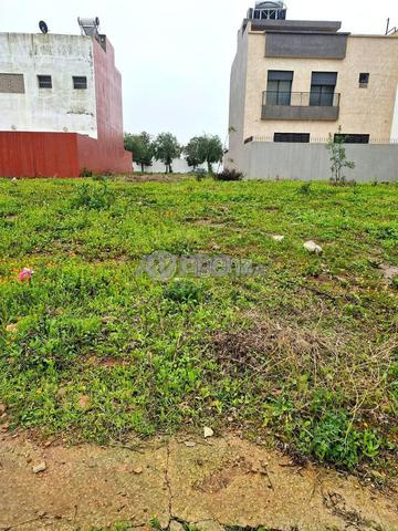 DAR-OU-1002 - Terrain à vendre à Dar Bouazza