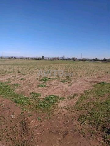 Opportunité d'investissement rare entre Tétouan et Khemis Anjra ✨