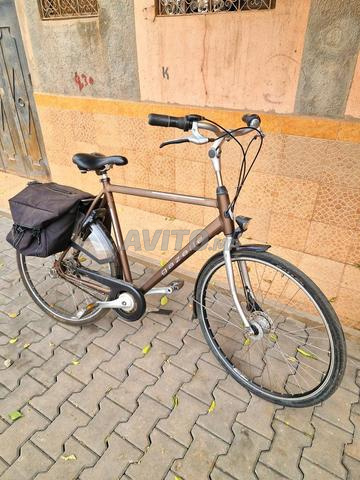 GAZELLE MARRAKECH 2000DH