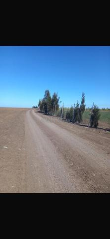 أرض فلاحية ممتازة للبيع