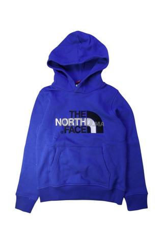 The north Face Hoodie