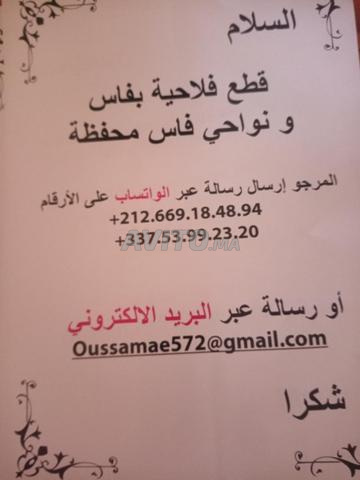 شقة للإيجار 90 متر مربع في فاس