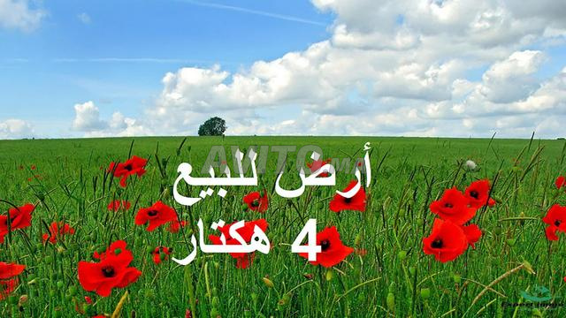 أراضٍ محفظة وفيلات مبنية للبيع بمنطقة البئر الجديد