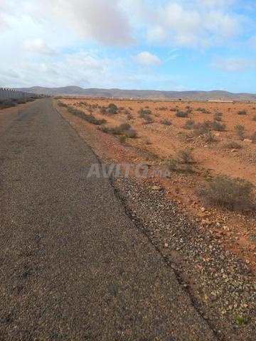 أرض موثقة 8000م² منطقة تيزنيت