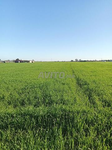 Terrain agricole titré