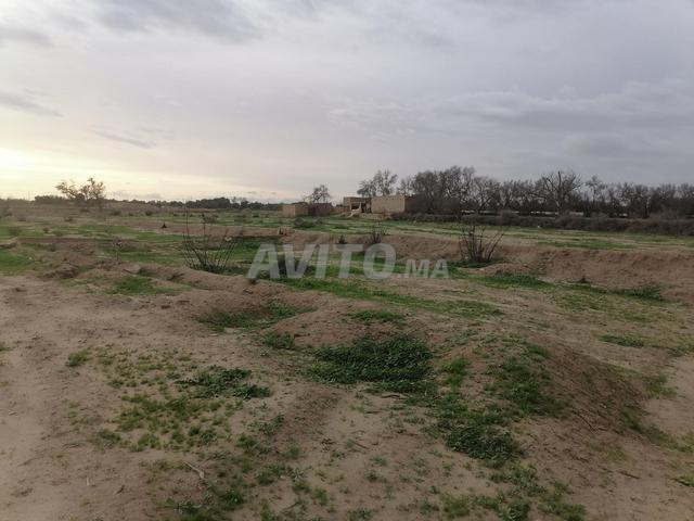 أرض فلاحية للبيع بالقرب من أيت إيعزة - تارودانت - 2