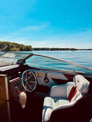 Bateau Sea Ray 🇧🇪 - 2