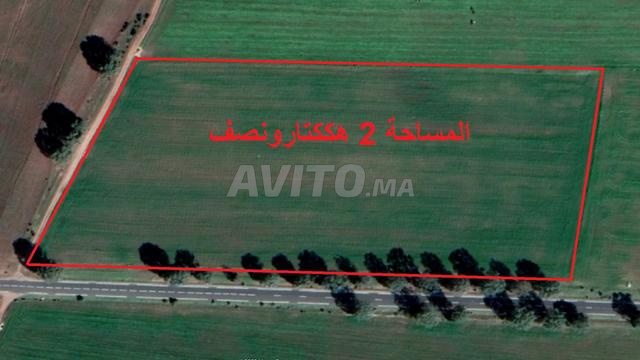 أراضٍ محفظة بسيدي رحال بإطلالة على البحر - 2