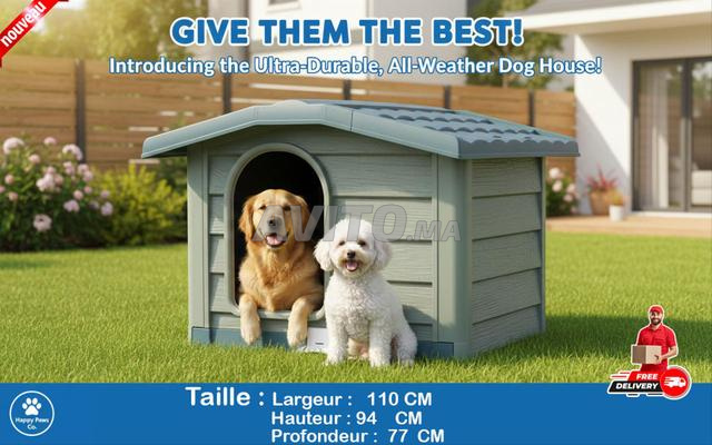 NICHE CHIEN LARGE VERT 110 X 94 X 77 CM