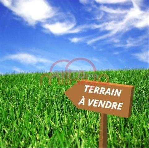 Vente Terrain agricole de 10500 m2 à Marrakech