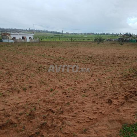 Terrain avec maison de ferme, terre pour ferme avec maison