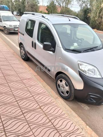 فين فيورينو