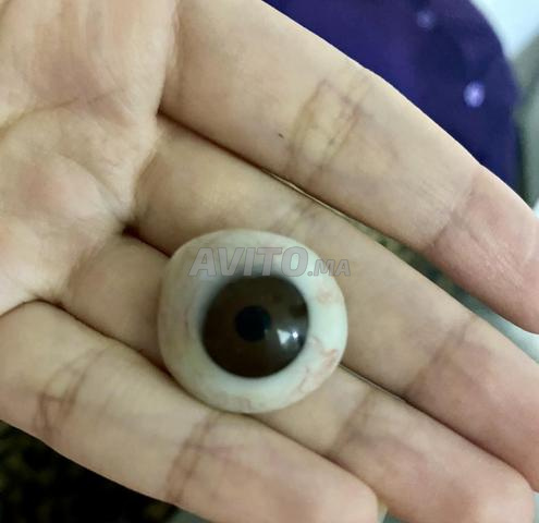 طرف صناعي للعين عين اصطناعية للبيع