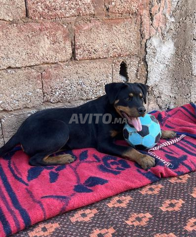 روت وايلر عندها 6 أشهر - 2