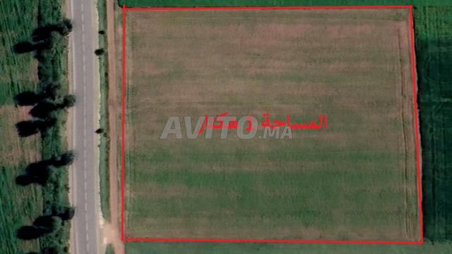 Terrains titrés pour habitation avec vue directe sur la mer de Sidi Rahal - 2