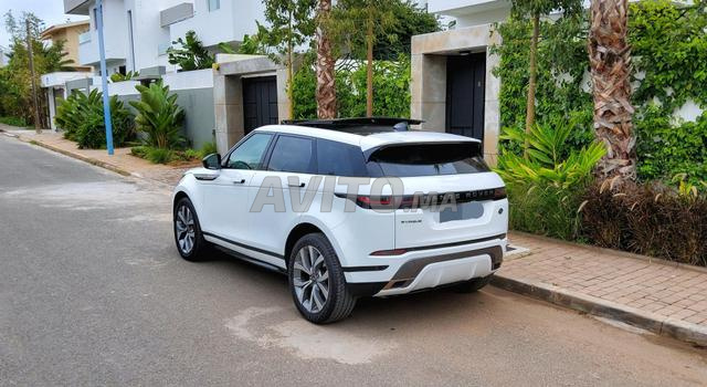 Ronger évoqué bébé dynamic SE 1er main unique