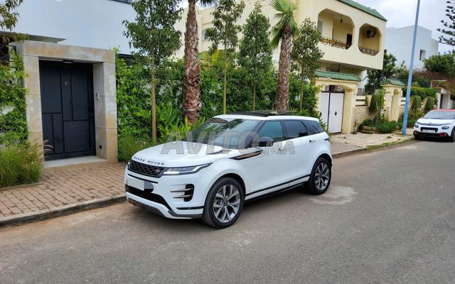 Ronger évoqué bébé dynamic SE 1er main unique