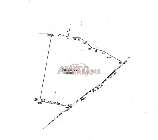 Location Terrain nu de 10000 m2 à El Kelâa des S...