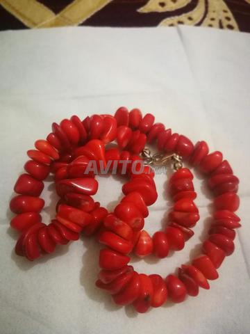 مرجان أحمر ملكي