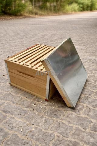 Ruches en bois avec couvercle métallique, neuves et prêtes à l'emploi