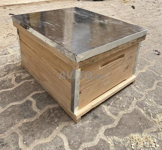 صناديق تربية النحل خشبية بغطاء معدني جديدة وجاهزة - 2