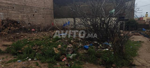 اغرم العلام