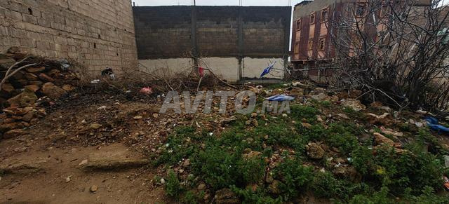 اغرم العلام - 2