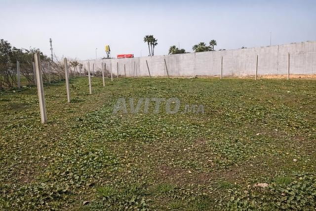 Terrain 1000m² TITRÉ à Berrechid (Proche McDo)