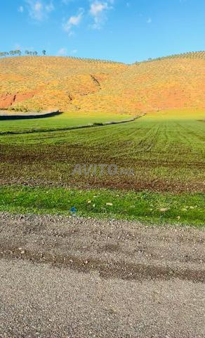 Hectare et demi titré sur route, complet à 48 millions