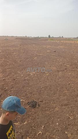 Terrain 22885m titré a berrechid