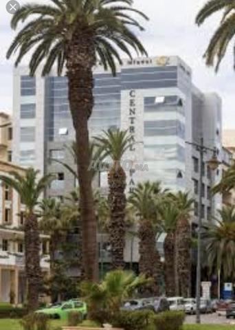 موقع لوحة مكتب في المحمدية