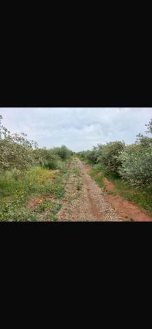 رياض في قلب مزرعة مطلة على الأطلس