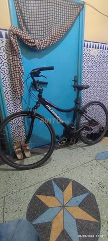 درجة هوائية أصلية muooyfox - 2