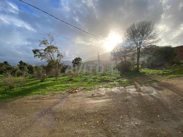 قطعة أرضية - 2