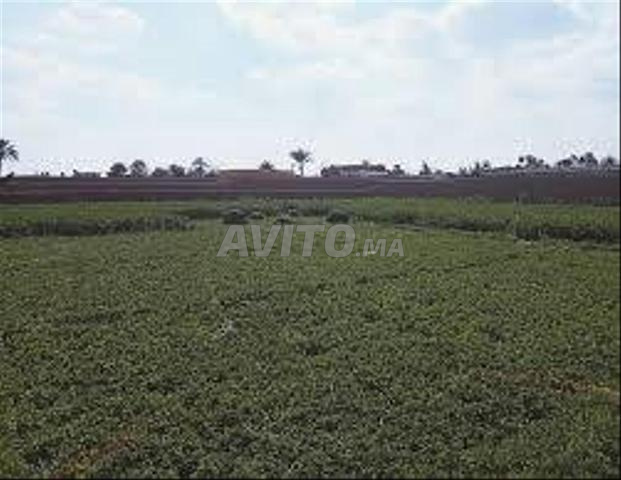 Terrain agricole titre