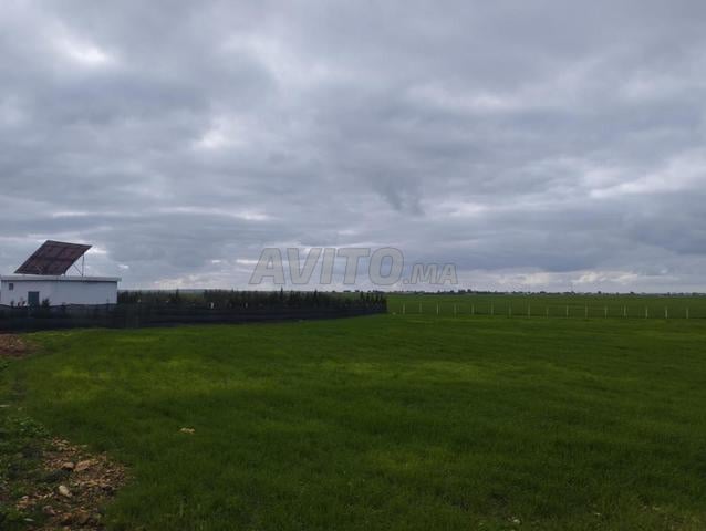 أرض فلاحية لمزرعة