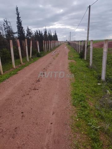 Terrain agricole pour ferme
