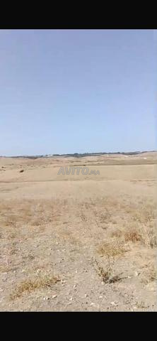 أرض فلاحية للبيع نواحي حد الغربية