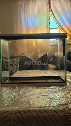 Aquarium très bon état