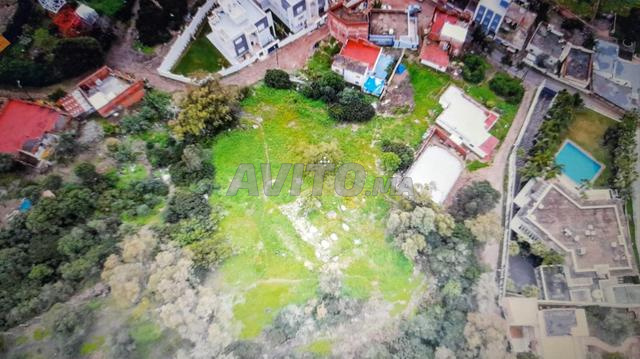 مغاير طريق أشقر