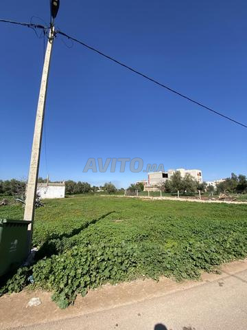 Terrain avec petite maison sur la route 1100 mètres Aïn Cheggag