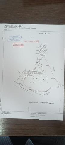 Terrain agricole titré à vendre 3 hectares